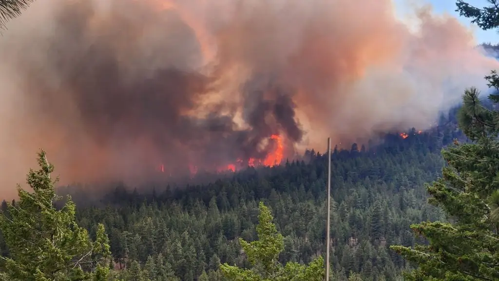 B.C. offering free N95 masks for B.C. Interior as wildfire smoke persists