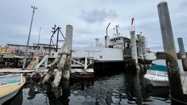 ‘We rely on that’: Gulf Islands go 3-days without BC Ferries service