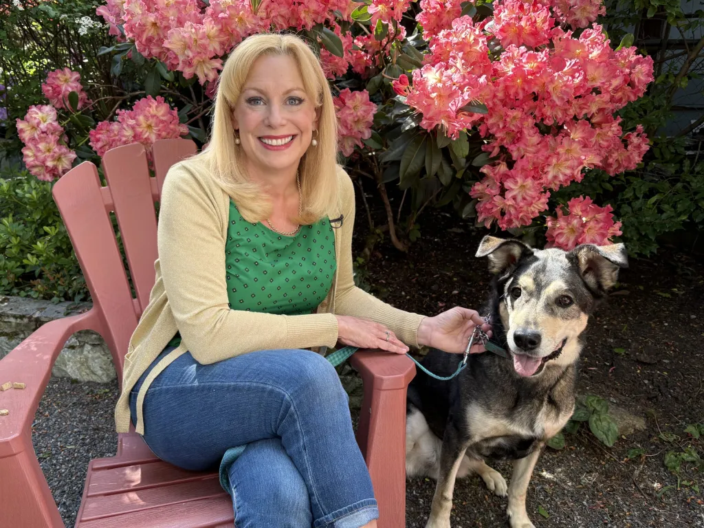 Pet CHEK: Senior dog Willow is looking for a loving forever home