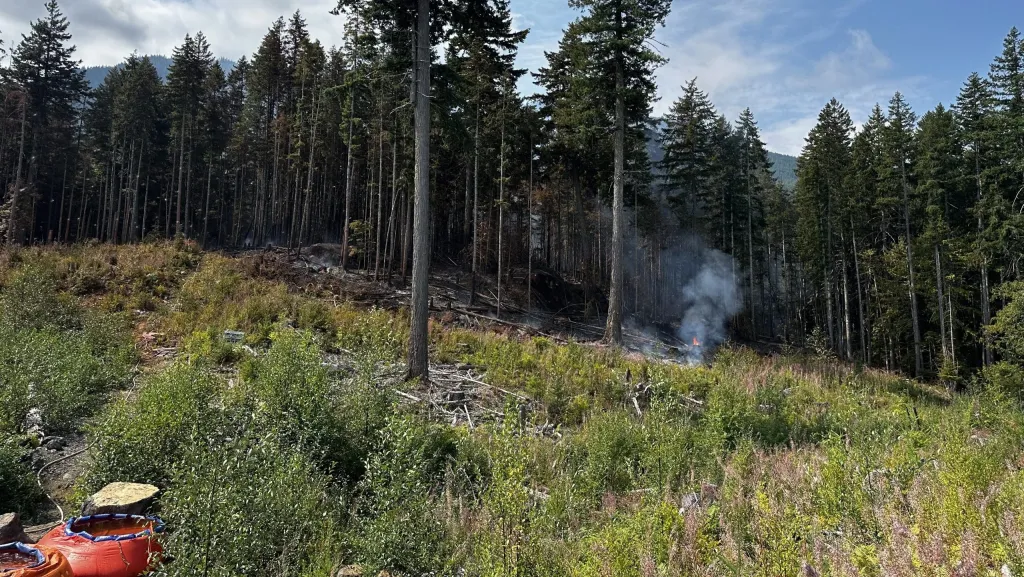 17 wildfires burning on Vancouver Island, 5 out of control