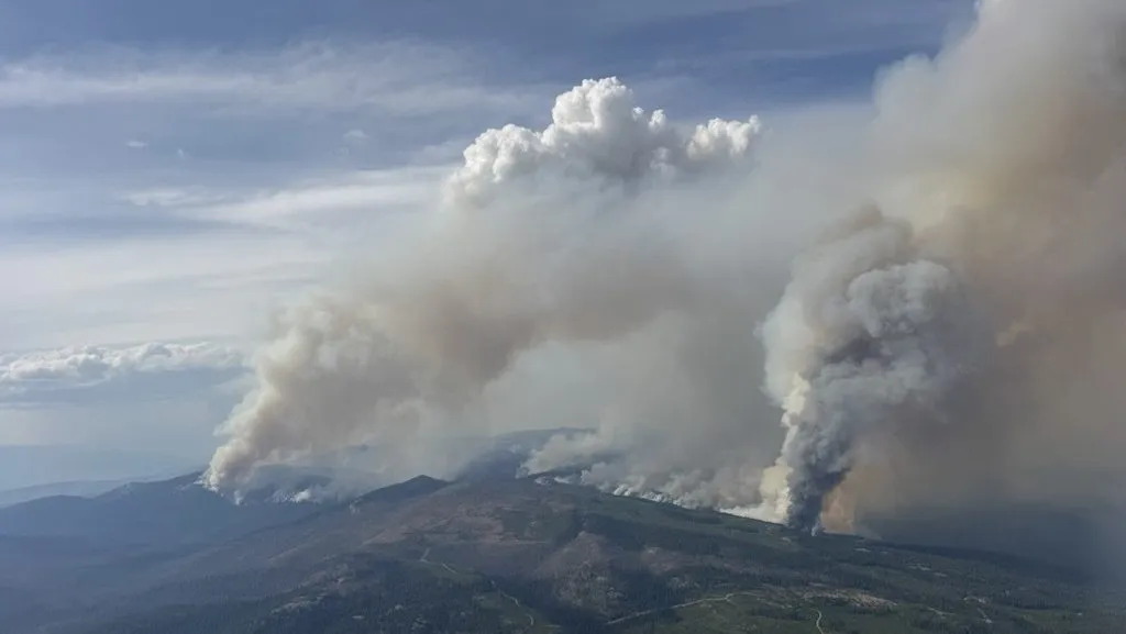 Wildfires shut down B.C. wineries’ peak tourism season, leaving financial strain