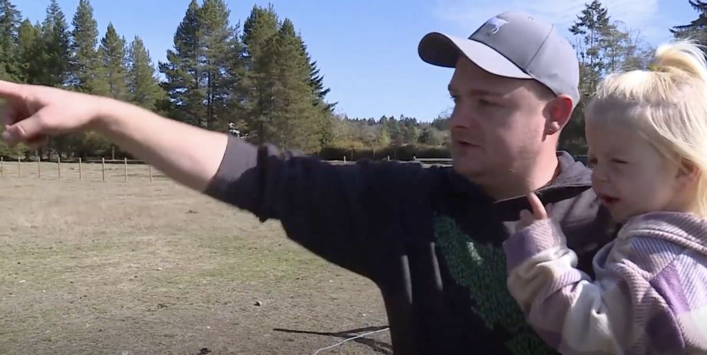 ‘Pretty gruesome’: 31 livestock killed in Qualicum Beach, farmers calling for action by BCCOS