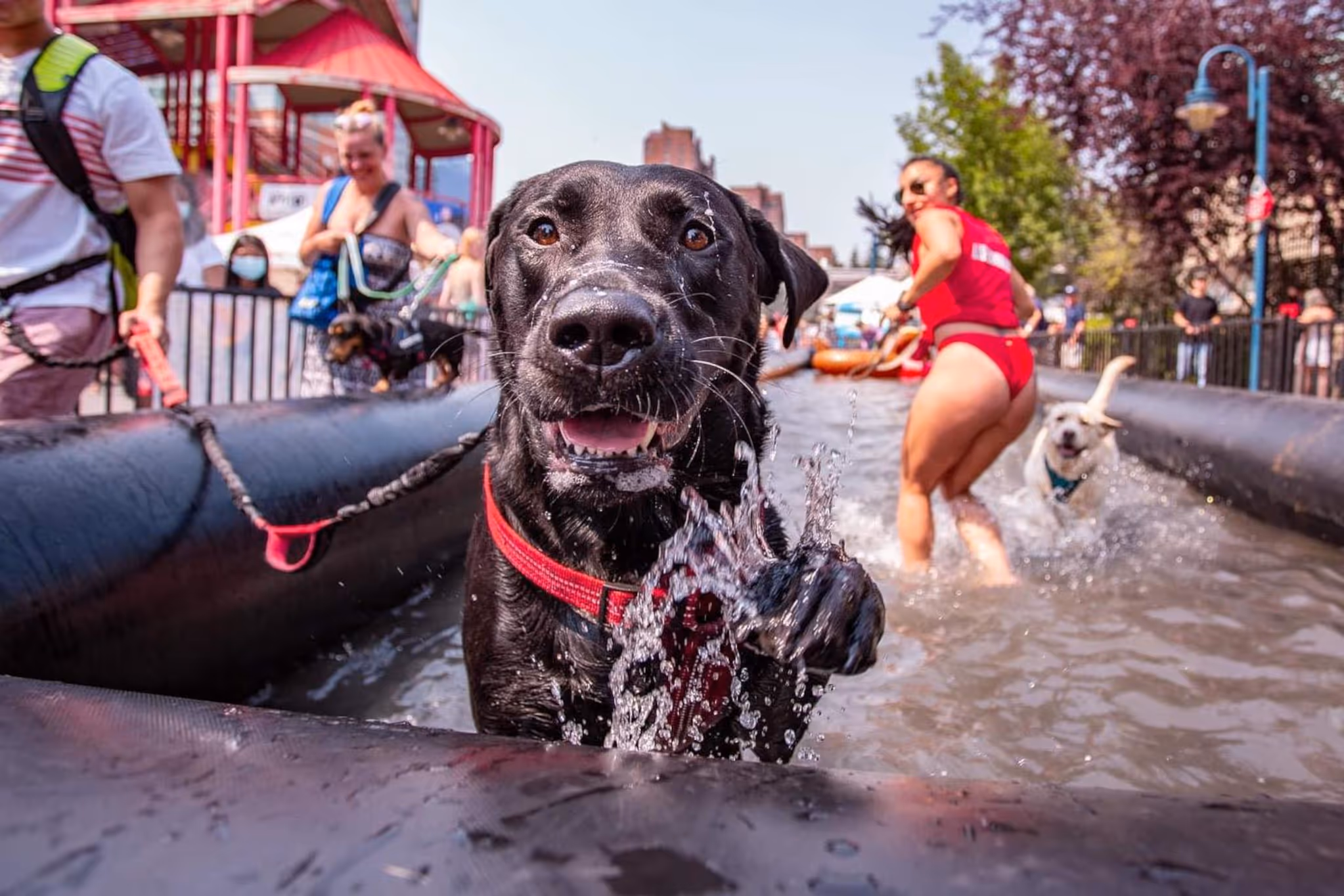 20 fantastic things to do in Vancouver this week: Aug. 17 to 23
