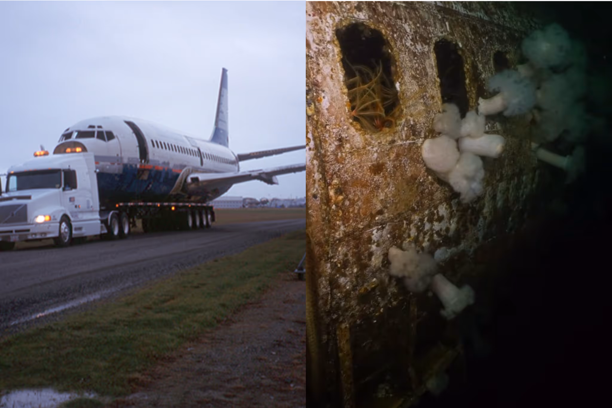 B.C. diver explores Boeing 737 underwater 20 years after it was intentionally sunk
