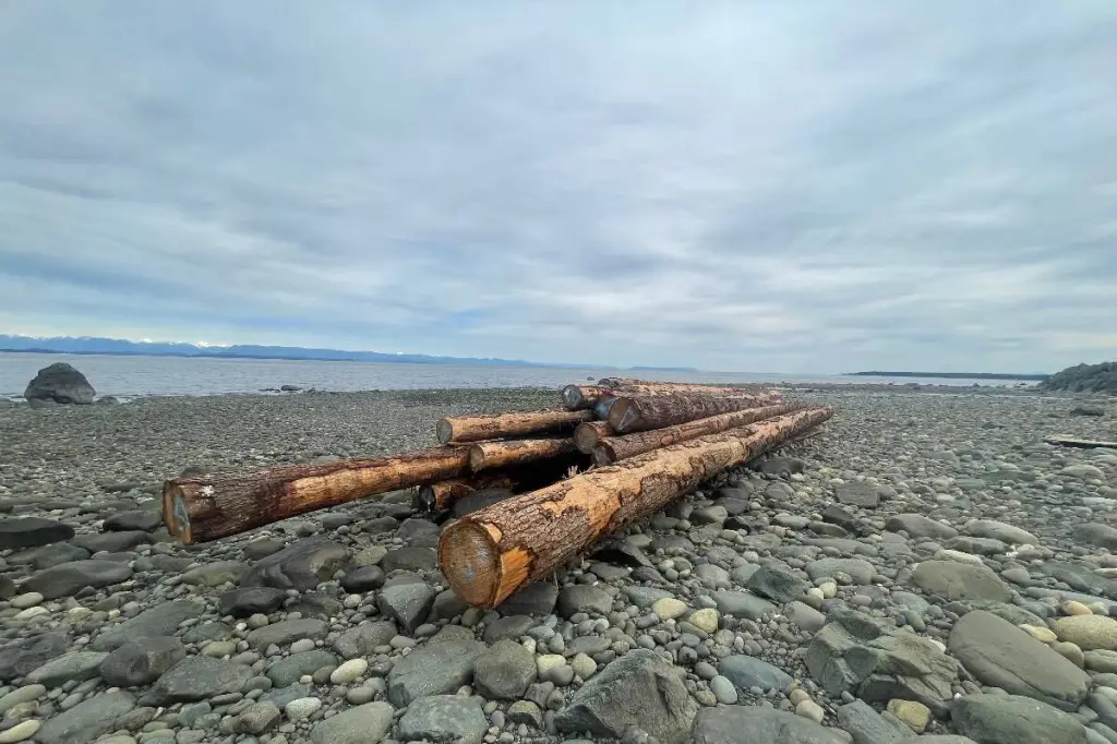 Errant log bundle washes ashore south of Campbell River