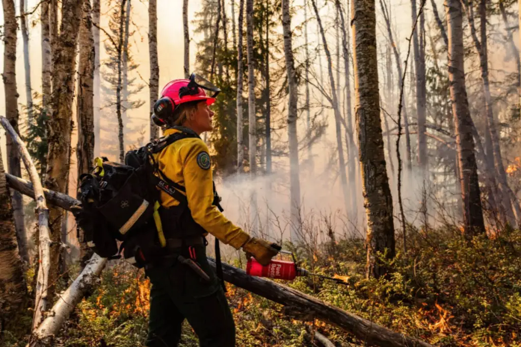 UVic alumnus’ work on wildfire research lands her on National Geographic list
