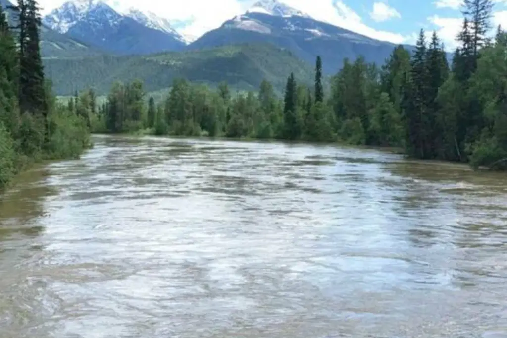 ‘Tragic accident’: Woman presumed drowned after car falls in Kamloops river