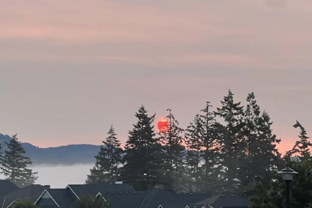 Red sun heralds smoky skies across lower Vancouver Island