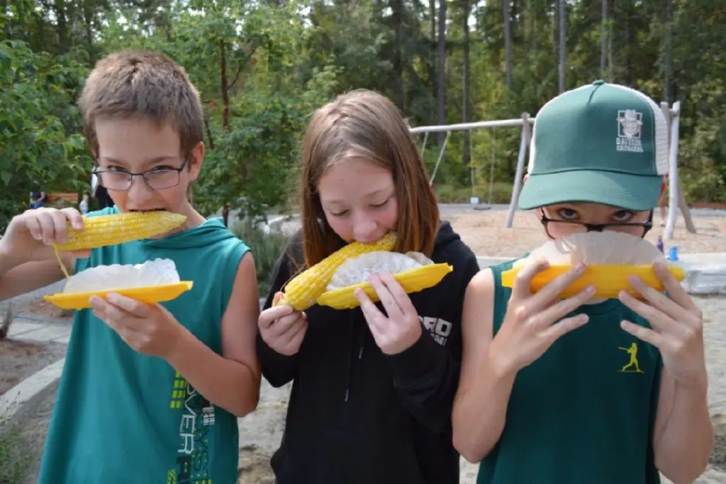 PHOTOS: Hi Neighbour Day Festival offers family fun in Errington