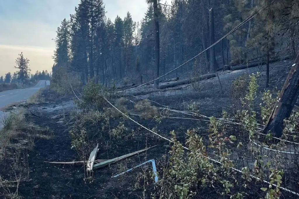 UPDATE: Crews responding to hot spot from Bradley Creek wildfire near Vernon