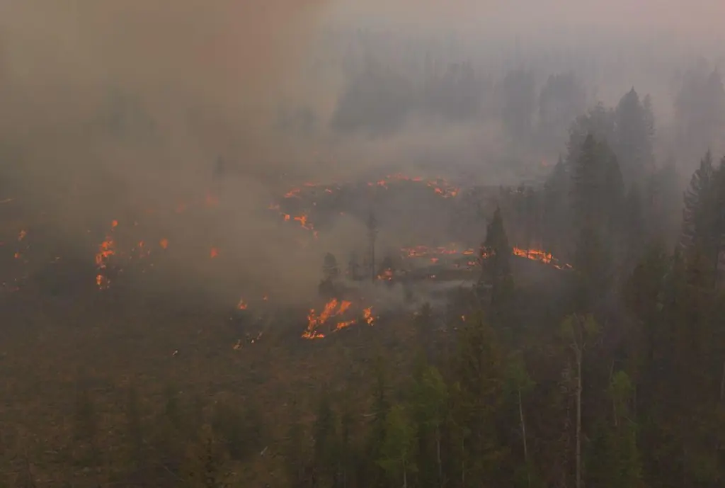 Around 500 personnel continues to battle Bald Range wildfire in Summerland