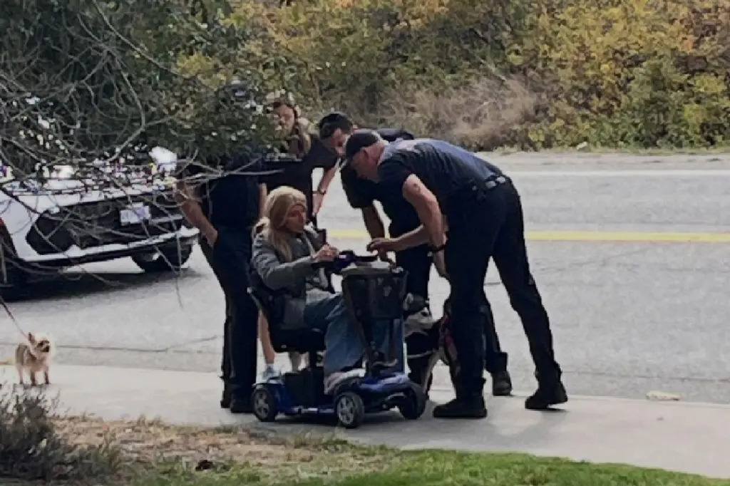 Woman, dogs helped home by West Kelowna firefighters after scooter battery dies